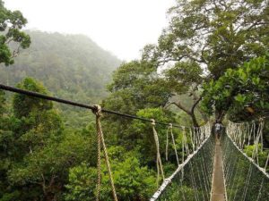 Taman Negara Malaysia