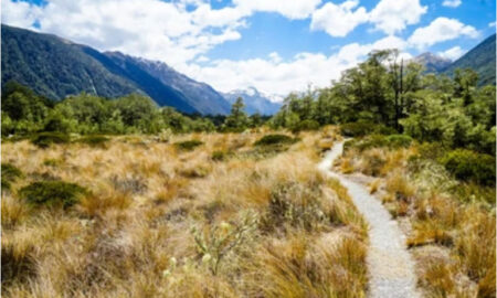 Exploring New Zealand's wild beauty